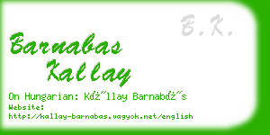 barnabas kallay business card